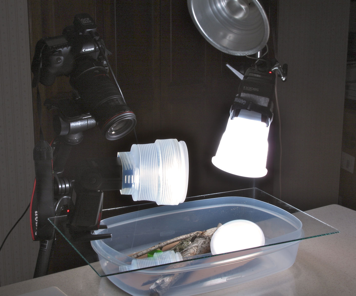 macro-speedlites