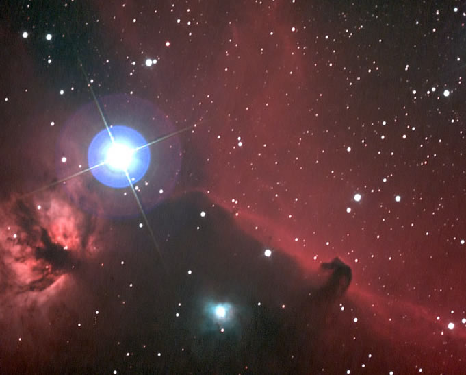 horsehead