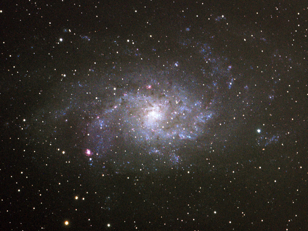 M33